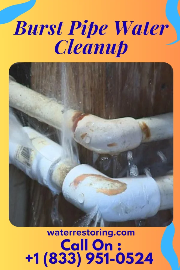 Burst Pipe Water Cleanup in Reynolds, IN