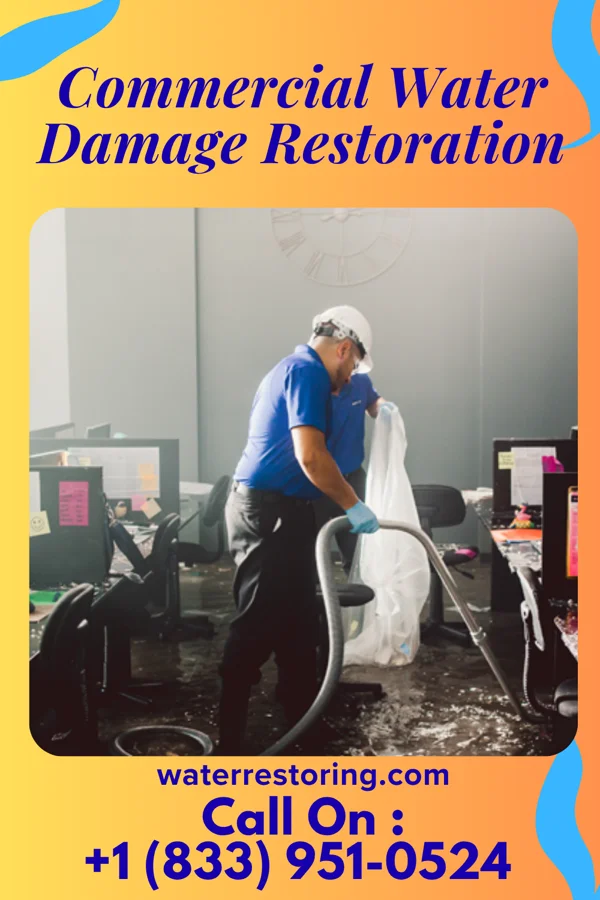 Commercial Water Damage Restoration in Reynolds, IN