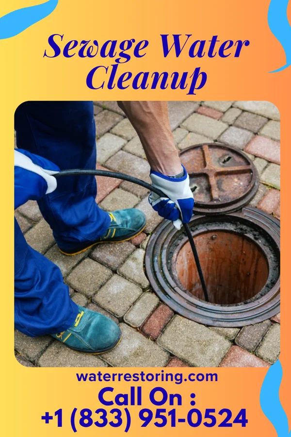 Sewage Water Cleanup in Reynolds, IN